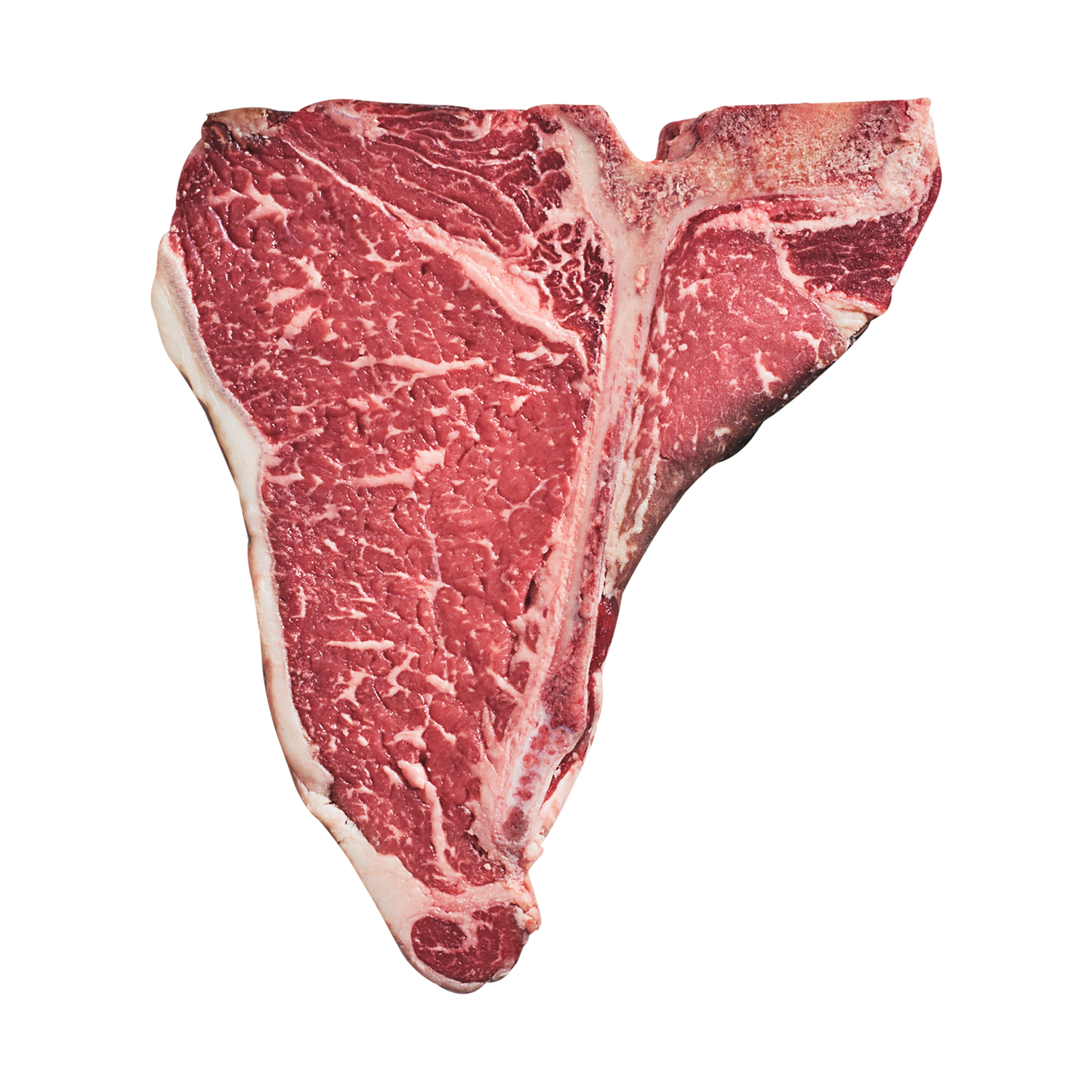 T Bone