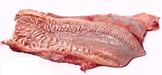 Labio de Res