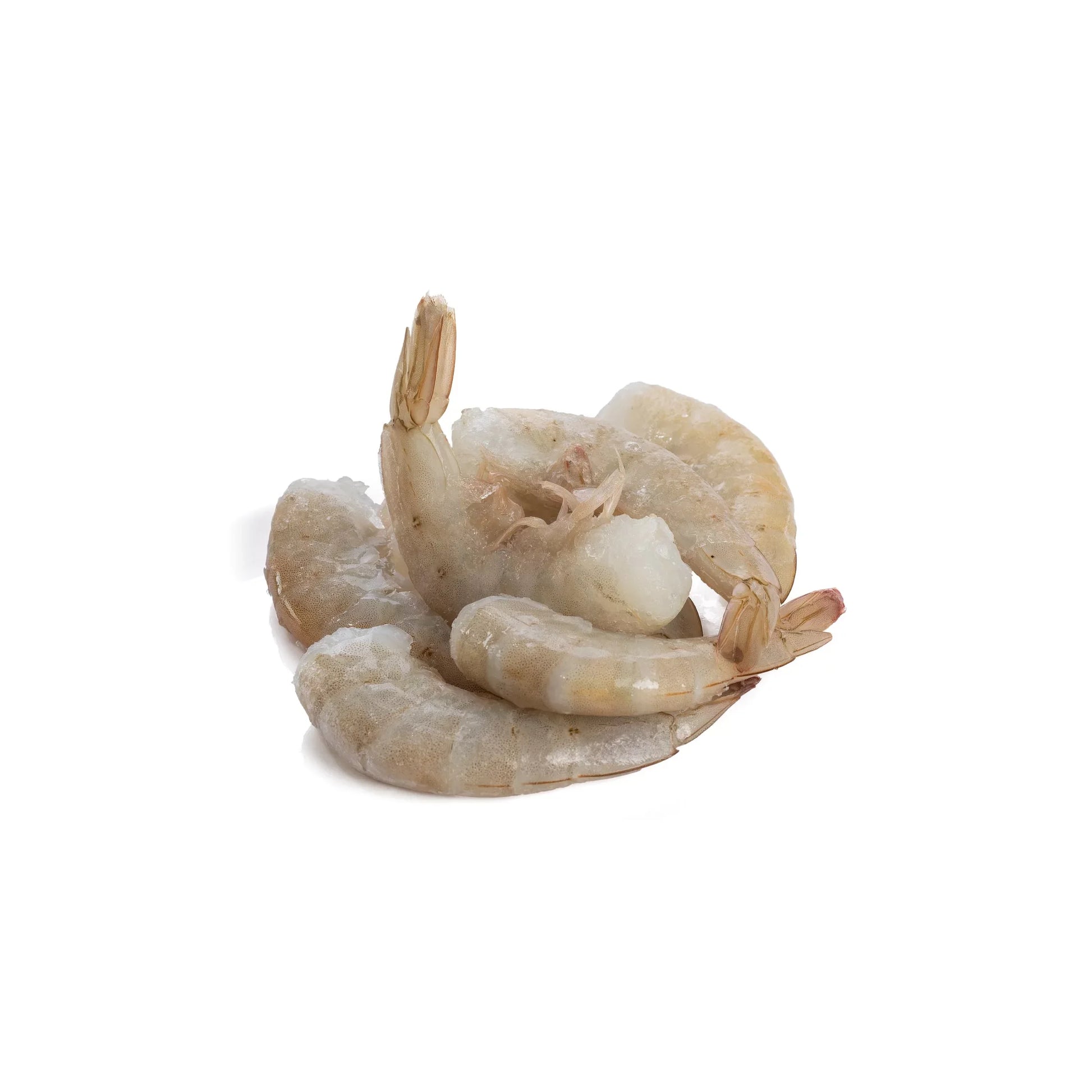 Camaron Fresco Mediano - CARNES BACAL